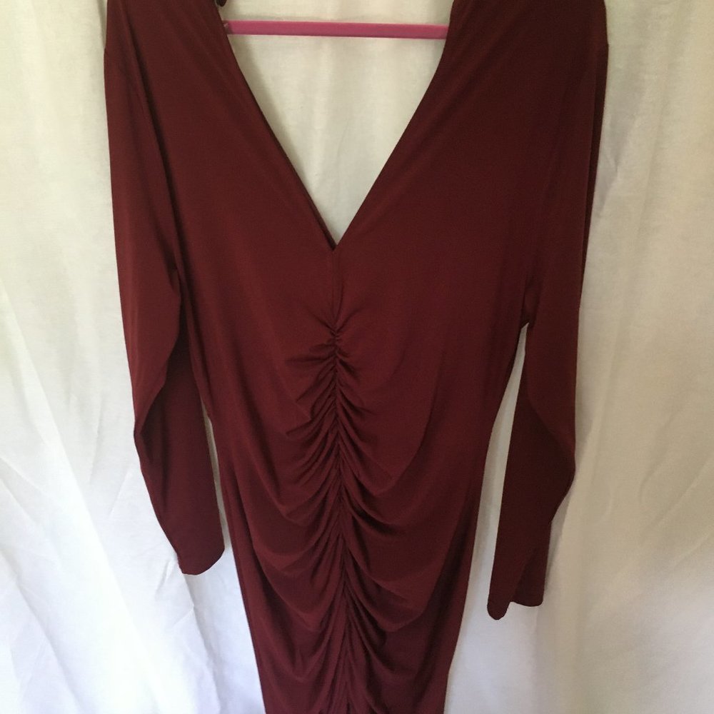 cranberry  plunging V neck line ruched long sleeve
